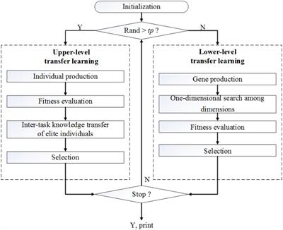 A Two-Level Transfer Learning Algorithm for Evolutionary Multitasking